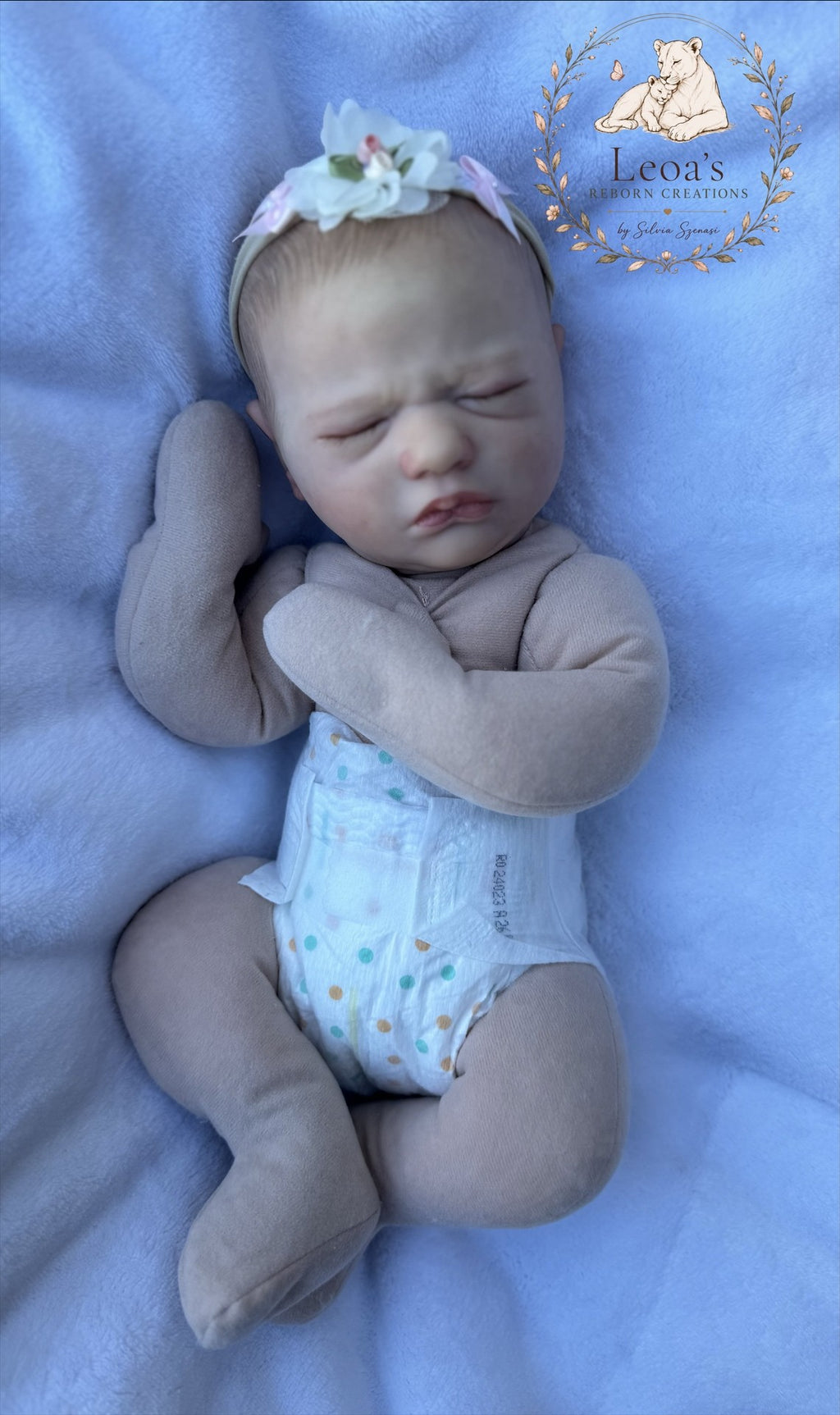 Jaycee Cuddle — photo 15