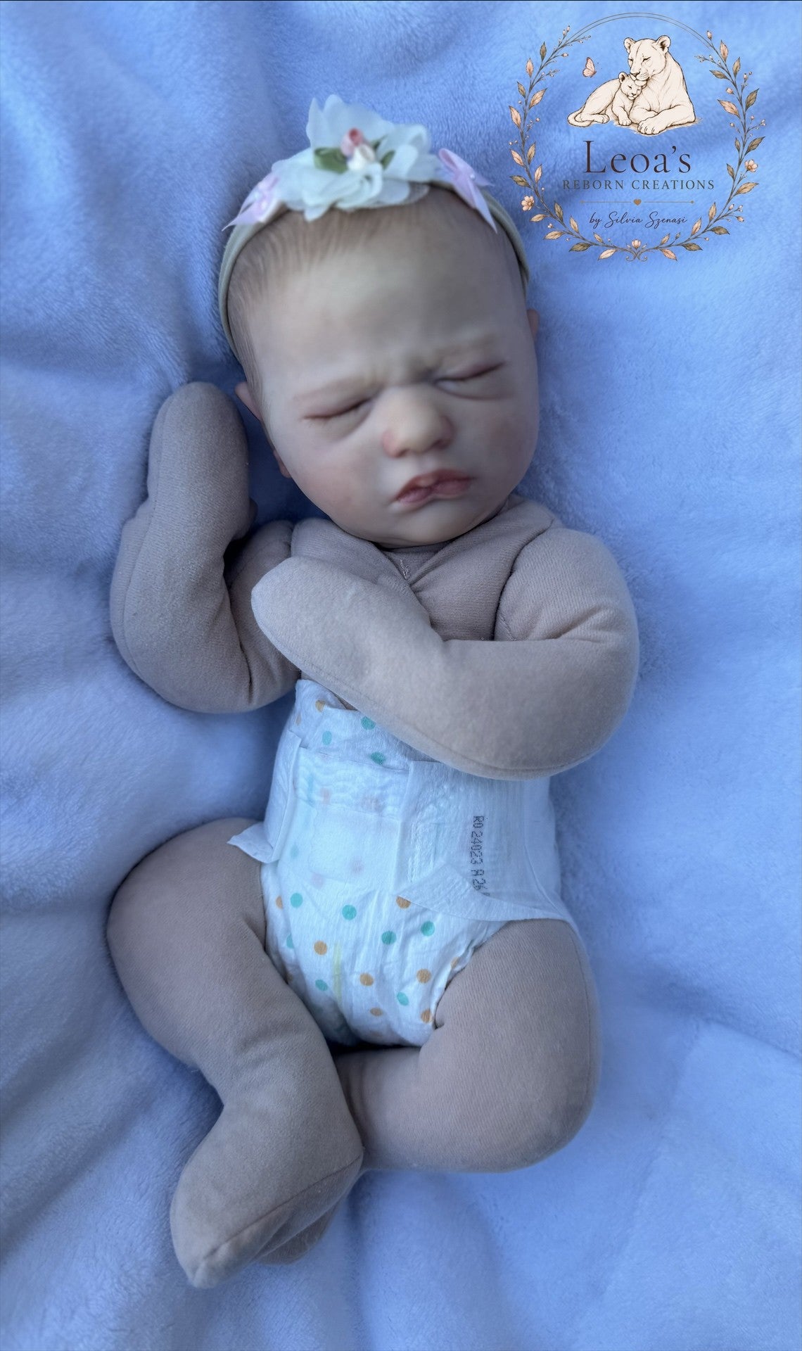 Jaycee Cuddle — photo 15