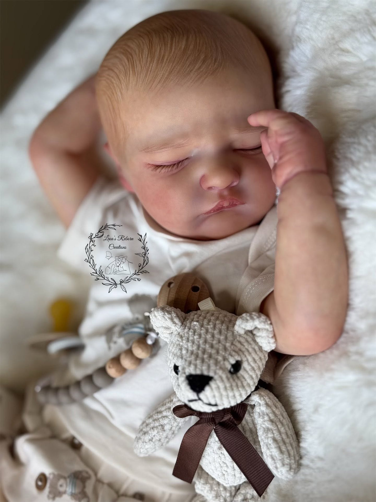 Owen — photo 3