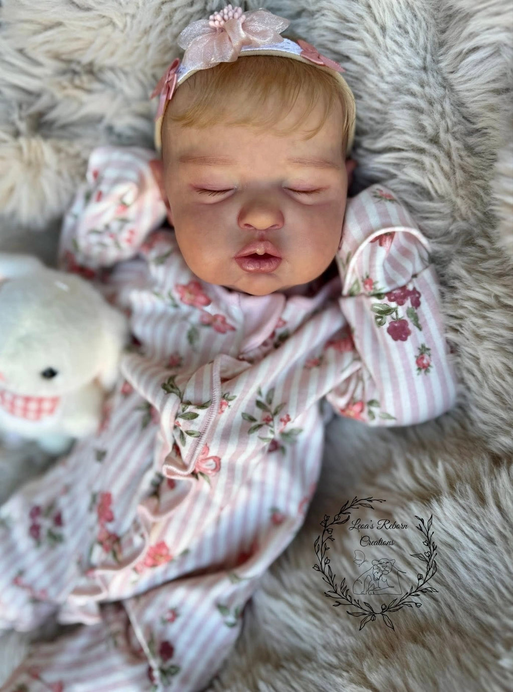 Teddy